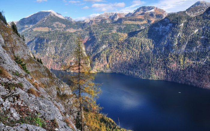 Lake surrounded by mountains and forests