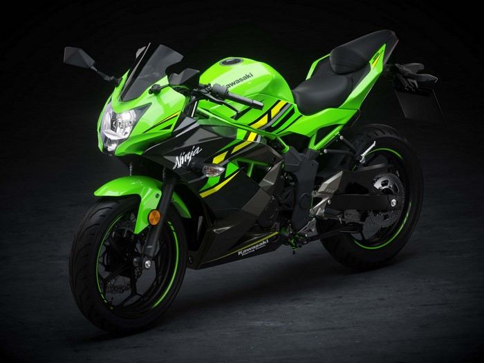 Kawasaki Ninja 125 Motorcycle