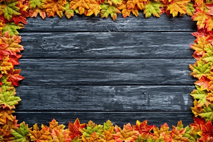 4K Autumn Maple Foliage on Wood Planks