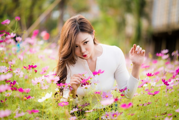 Asian woman in a field of cosmos flowers