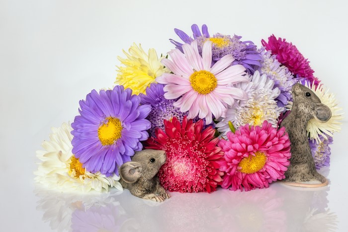 Two mice figurines with a bouquet of colorful asters
