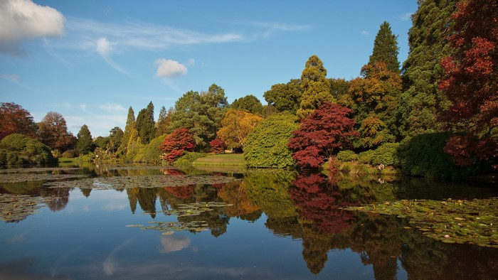 Autumn Pond and Trees at Sheffield Park, England