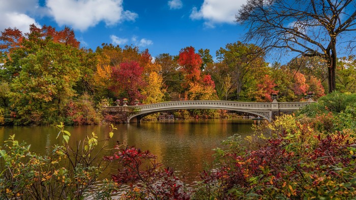 Bow Bridge in Central Park, New York City during Autumn