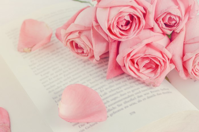 Pink Roses on an Open Book