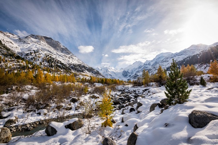 Snowy Alps Mountains with Autumn Trees in Switzerland