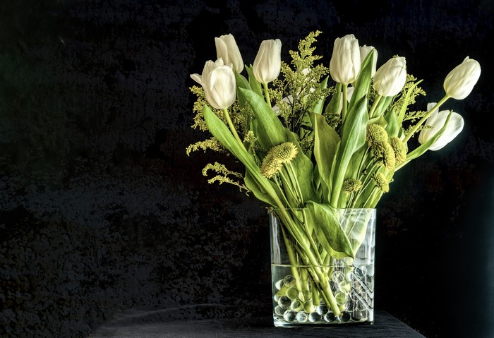 White tulips in a glass vase with a gray background