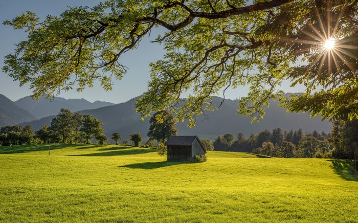 Sunlight over Bavarian Mountains and Meadow