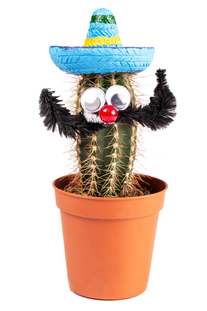 Decorated cactus in a pot with a sombrero
