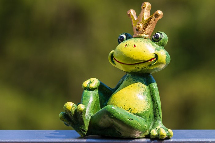 Frog toy with a crown, bokeh background