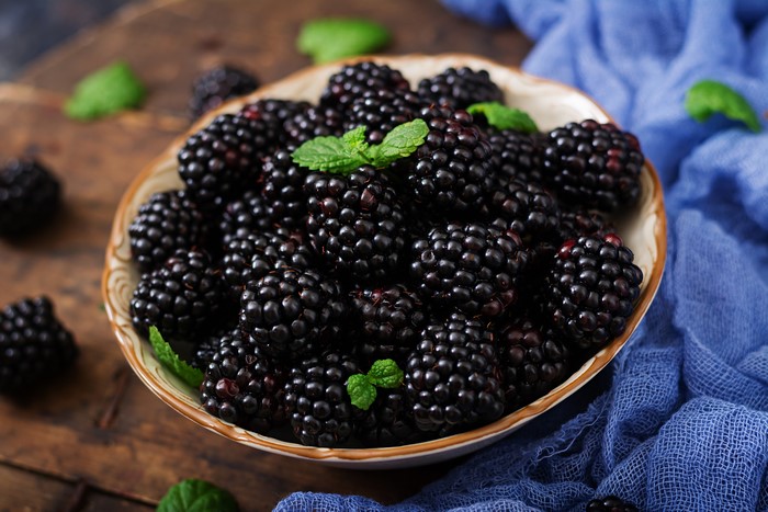 Bowl of Blackberries with Mint Leaves