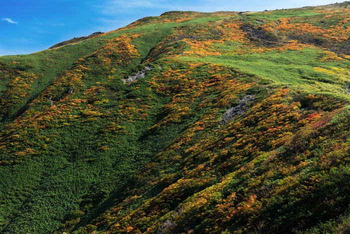 Mount Gassan in Japan during Autumn