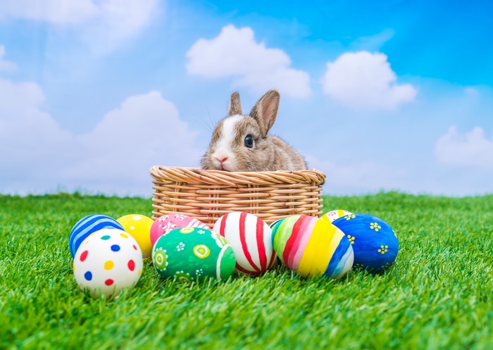 Easter bunny in a basket with decorated eggs on grass