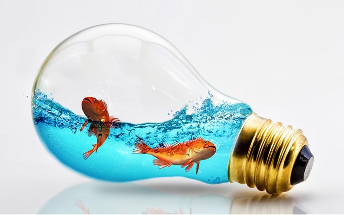 Fish swimming inside a light bulb with water