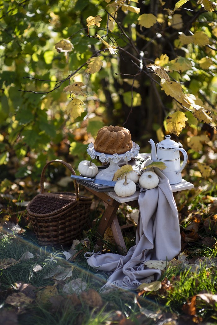 Autumn picnic with pound cake and pumpkins