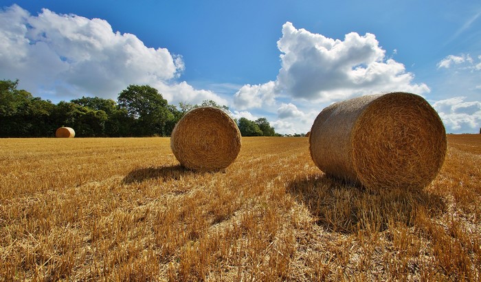Hay bales in a field under a cloudy sky