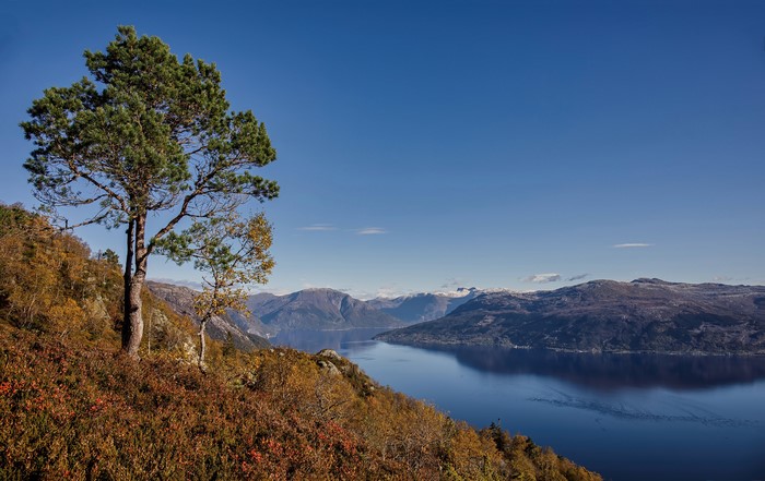 Autumn view of Hardangerfjorden, Norway