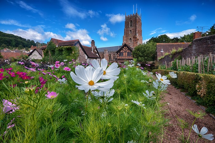 Minehead Gardens with Cosmos Plant and Tower, England