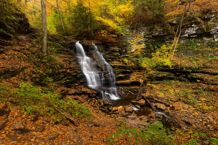 4K Autumn Waterfall at Ricketts Glen State Park, USA