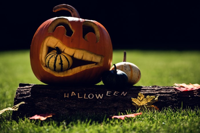 4K Halloween carved pumpkin with gourds on log