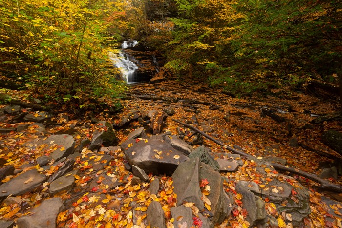 Waterfall in Ricketts Glen State Park during Autumn