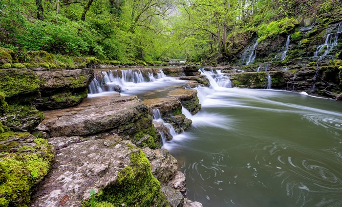 Waterfalls and mossy rocks in a forest