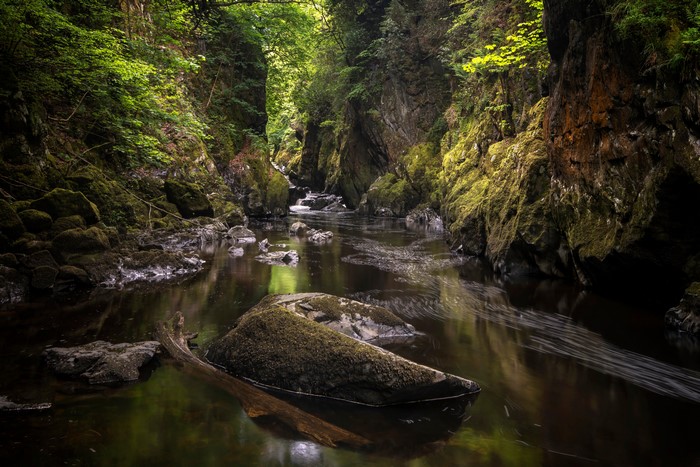 River flowing through a mossy gorge in Wales, United Kingdom