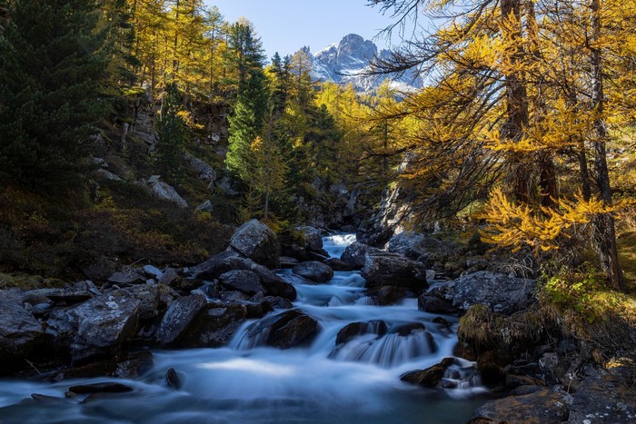 Autumn mountain river with yellow trees and rocky banks