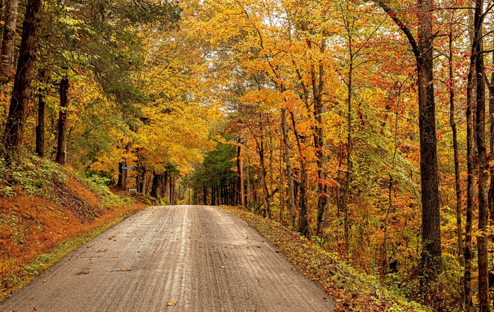 Autumn Road in Rose Hill, Virginia, USA
