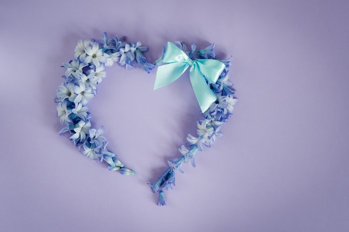 Heart shape made of blue hyacinths with a light blue bow