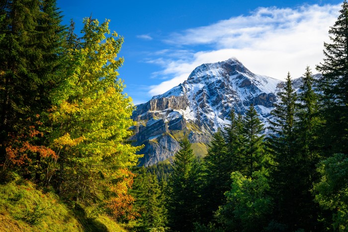 Autumn Mountains in Gryon, Switzerland