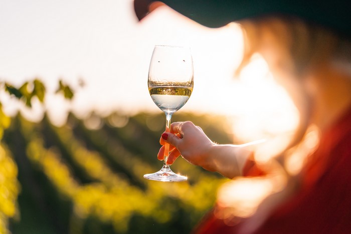 Woman holding a glass of white wine in a vineyard