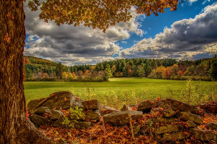 Autumn landscape with stone wall and colorful trees