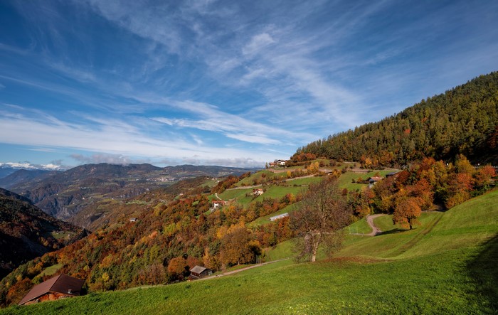 Autumn Scenery in South Tyrol, Italy