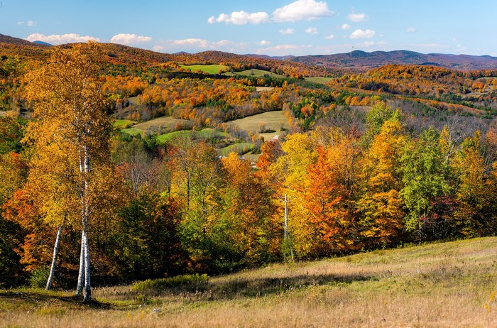 Autumn Foliage in Vermont Hills