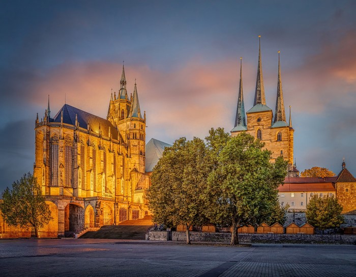 Erfurt Cathedral at dusk with trees