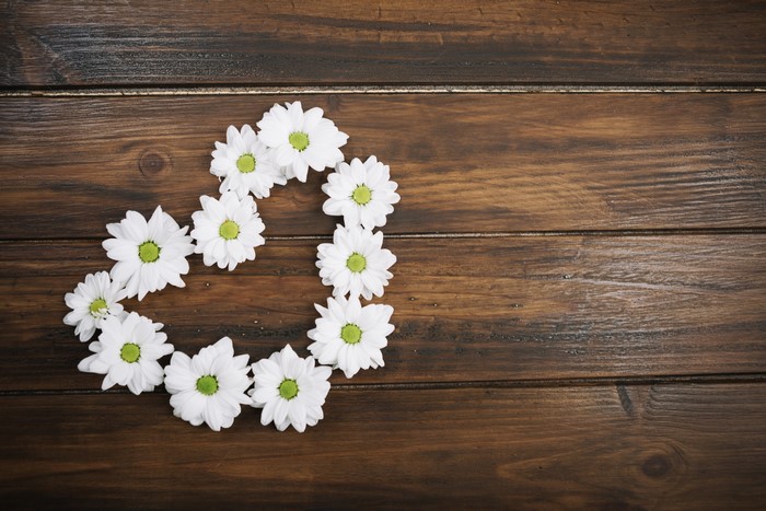 White Camomiles in a Heart Shape on Wood Planks