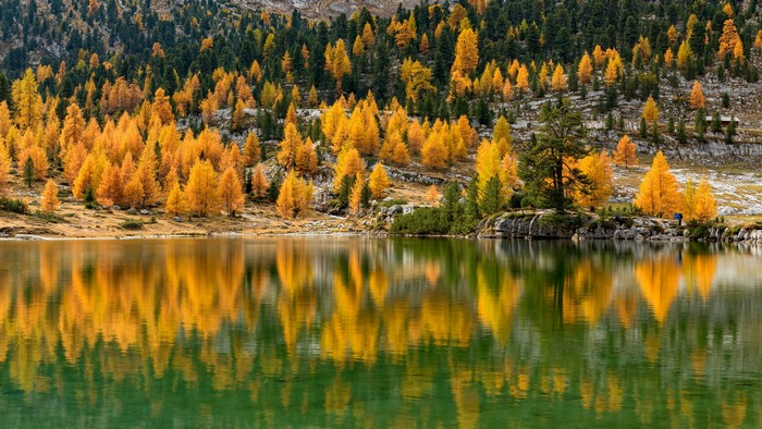 Autumn Lake Reflection in South Tyrol, Italy