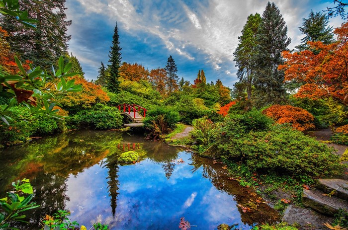Kubota Garden Pond with Red Bridge in Autumn