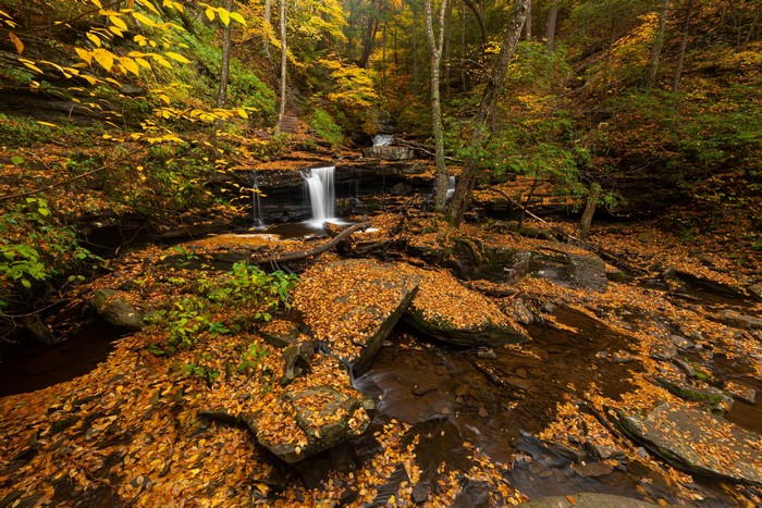 Autumn Waterfalls at Ricketts Glen State Park