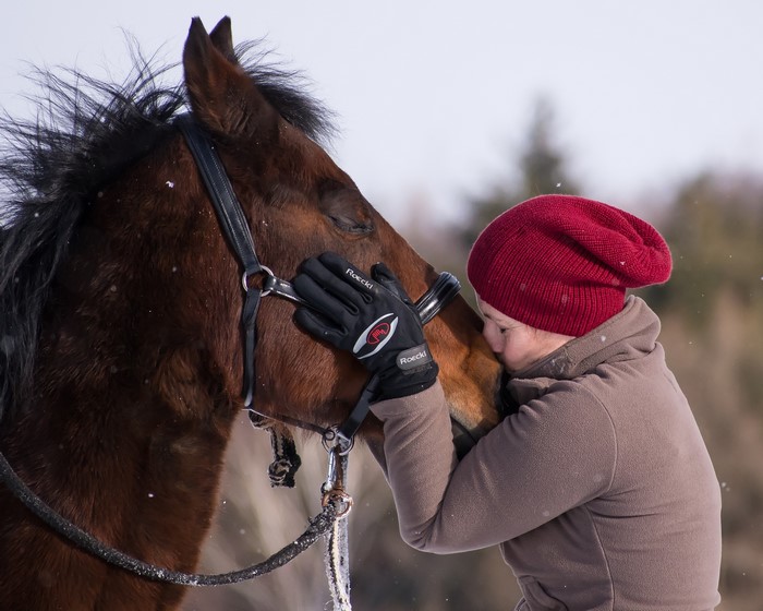 Person wearing a red hat kissing a horse in winter