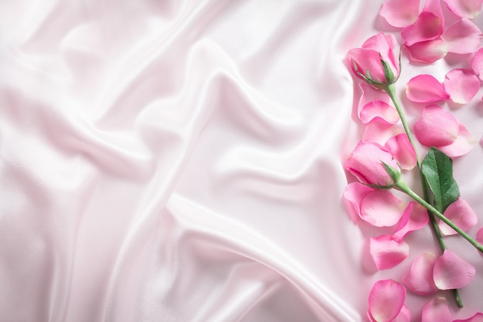 Pink Roses and Petals on Silk Cloth