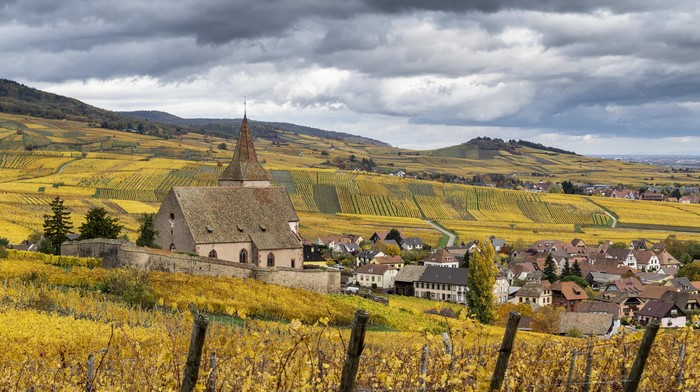 Hunawihr village and church in autumn vineyards, France