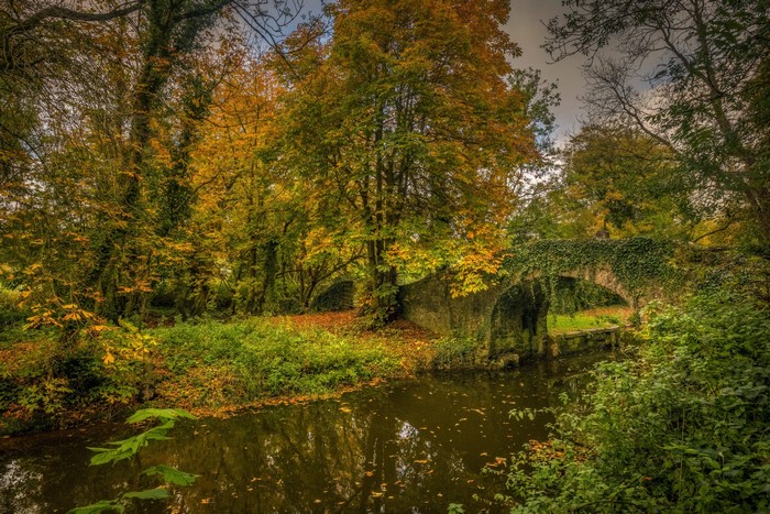 Autumn scene with stone bridge over canal in Ireland