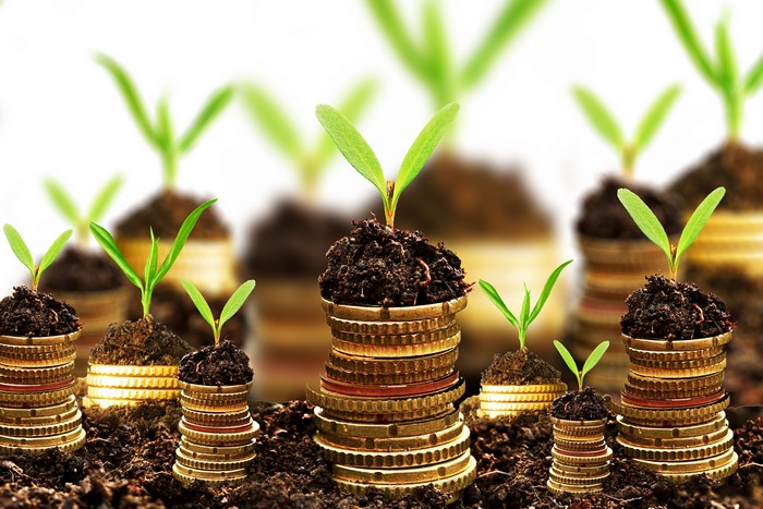 Plants Growing from Stacks of Coins