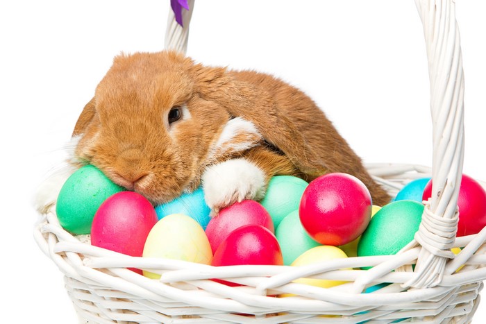 Brown rabbit in a wicker basket with Easter eggs
