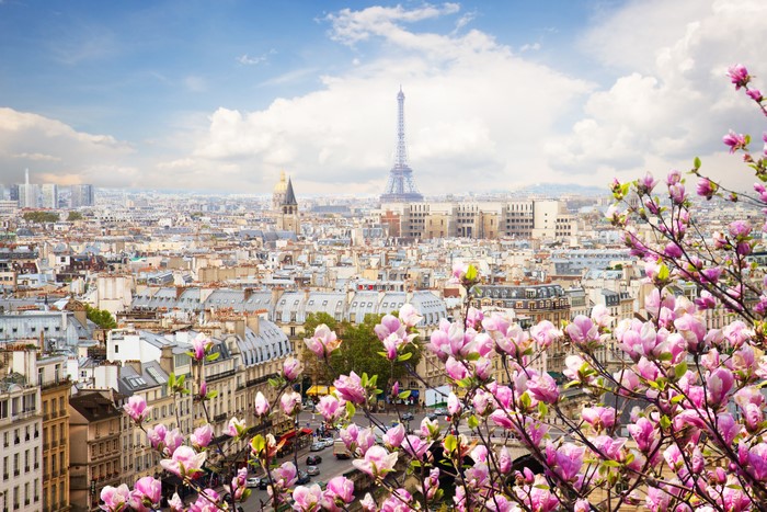 Paris Skyline with Eiffel Tower and Flowering Magnolia Trees