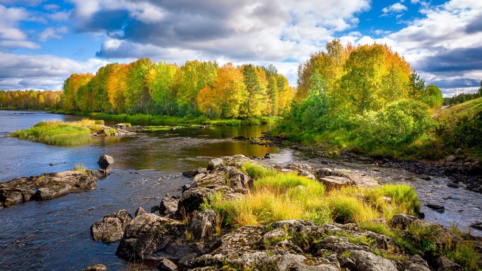 Autumn river with colorful trees and rocks