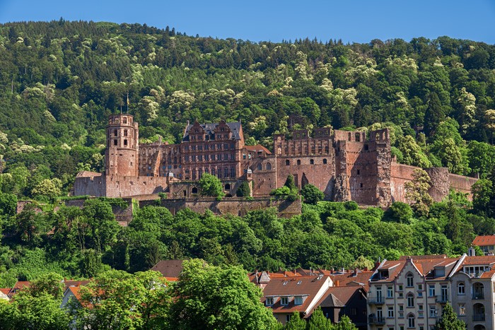 Heidelberg Castle and Forest in Germany