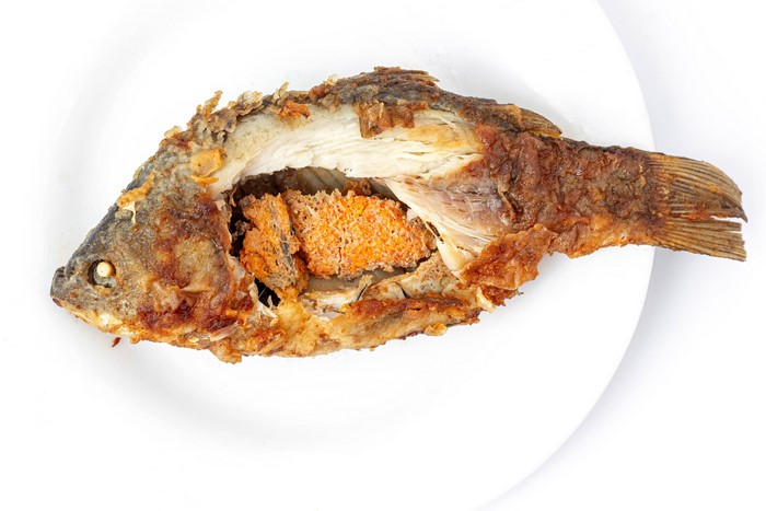 Fried fish on a white plate