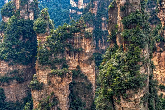Zhangjiajie National Forest Park, China